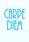 Carp Diem Journal