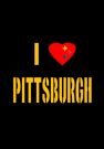 Pittsburgh Steelers Journal