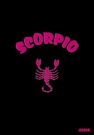 Writing Journal with Scorpio cover